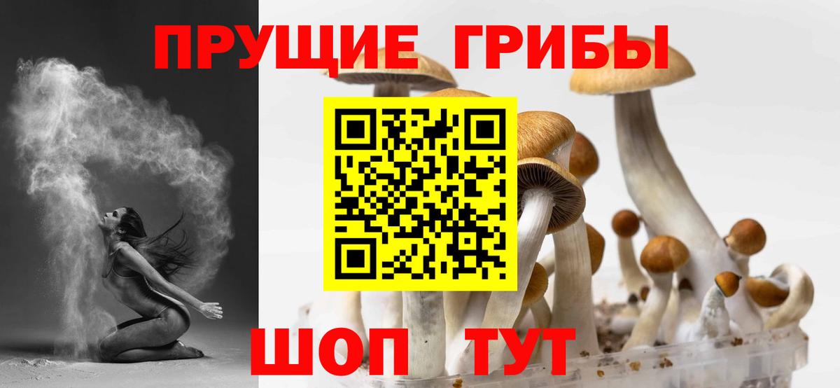 Унеча  Псилоцибиновые грибы MAGIC MUSHROOMS  Вход с VPN 